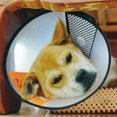 thumbnail image 1 of Collar protector para mascotas, perro, cicatrización de heridas, herramienta médica para embellecer la ducha #2+ Hugtrwg Para estrenar, 1 of 6