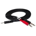 thumbnail image 2 of Hosa Technology 10' Stereo 3.5mm Mini Male to Two Mono -1/4" Phone Plugs, Breakout Y-Cable, 2 of 6