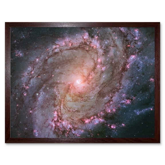 Hubble Space Telescope Image Spiral Galaxy M83 Red Blue Purple Star Formation Southern Pinwheel Supernova Remnants And Star Clusters Art Print Framed Poster Wall Decor 12x16 inch
