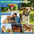 thumbnail image 6 of BEBANG 2-Pack Dog Bark Collar, Smart Barking Device with 5 Training Modes, Bark Collar for Large Medium Small Dogs 10-150lbs, Home & Outdoor Use, 6 of 10