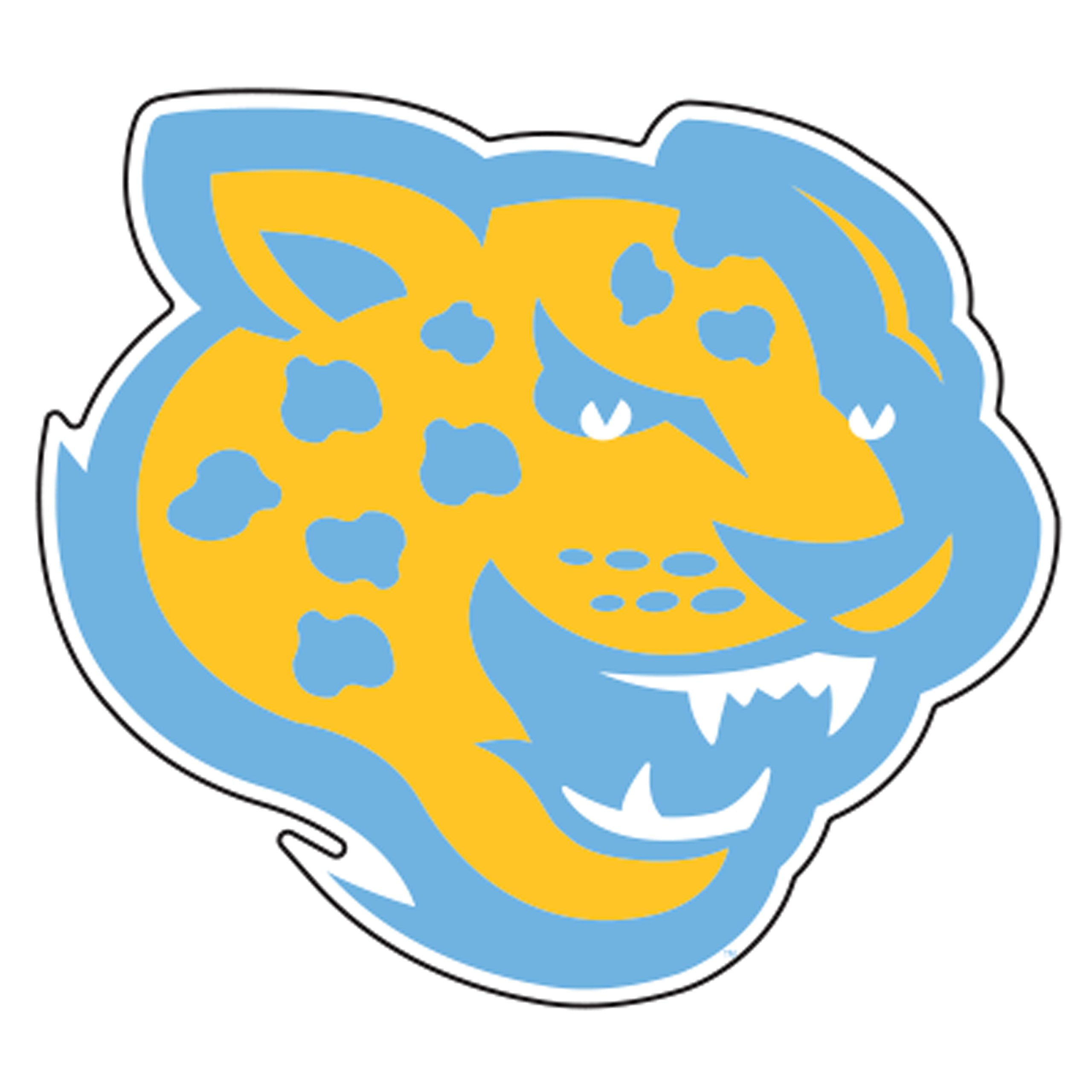 southern-decal-su-jaguar-decal-3-4-6-12-18-12-in-walmart