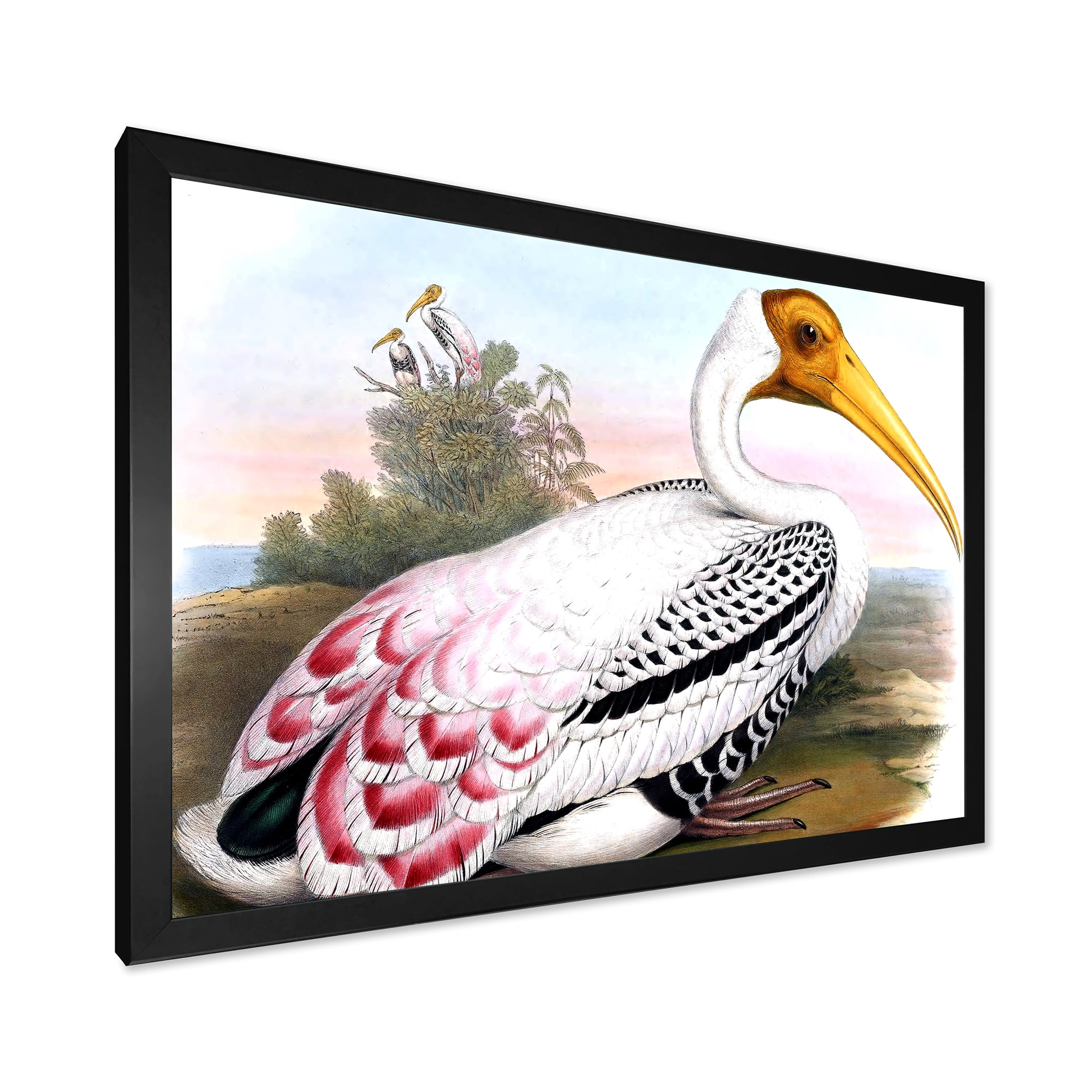 Designart 'Vintage Countryside White Birds' Farmhouse Framed Art Print