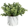 thumbnail image 3 of Northlight 9" Green Artificial Eucalyptus in a Marble Style White Pot, 3 of 7