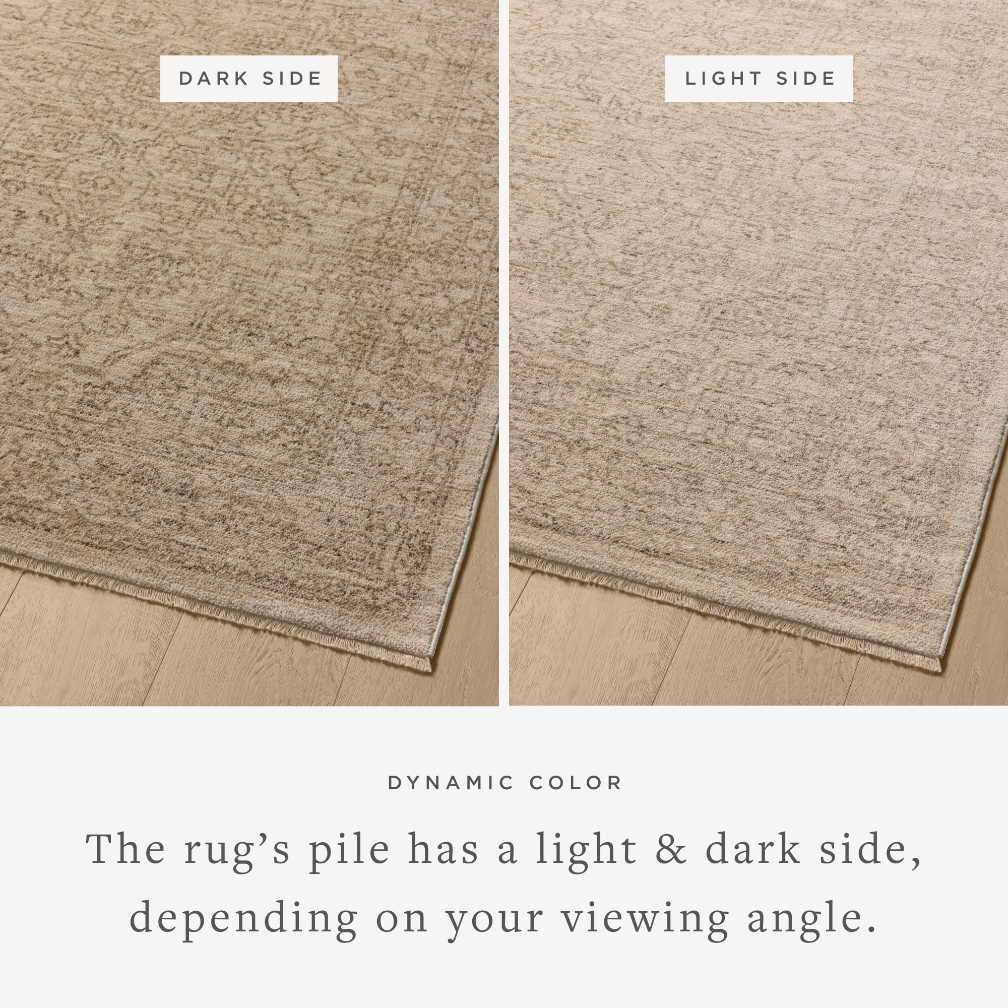 Loloi Newman Taupe / Bone 2'-7" x 10'-0" Runner Rug