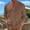 Brown, variant on Men's Shirt Jacket Mandarin Collar Double Breasted Button Front Long Sleeve Side Pocket Casual Coat Brown Size L