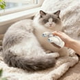 thumbnail image 4 of Rechargeable Grooming Steam Brush With Massage Comb Static Deshedding For Cats And Home Bathing Scratch Remover for Stainless Steel Stove Top Bring It on Hard Water Stain Remover Dish Sponge Handle, 4 of 6