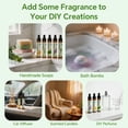 thumbnail image 5 of OrientLeaf Essential Oil Set, 100% Pure Natural Aromatherapy Essential Oils Set for Diffusers, Massage, Aromatherapy, Skin & Hair Care, Gifts Choice for Women, 5 of 8
