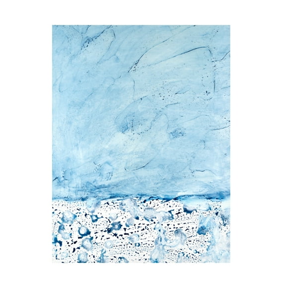 Canvas Wall Art - Michael Willett 'Stonewashed I' Wall Art for Living Room, Bedroom, or Office Décor by Trademark Fine Art - 14 x 19 Inches