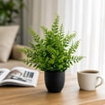 thumbnail image 7 of Linnome Artificial Green Plants Potted Fake Foliage Shrubs with Dark Pots Mini Faux Greenery for Desk Shelf Indoor Home Tabletop Decor, 7 of 7