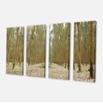 thumbnail image 2 of Rubber Trees Row in Thailand - Modern Forest Canvas Art, 2 of 3