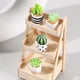 thumbnail image 2 of Cactus en maceta para interior, suculentas de escritorio, cactus en maceta pequeños, micropaisaje ecológico, adornos de bricolaje en botella, 2 of 6