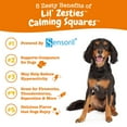 thumbnail image 4 of Zesty Paws Lil Zesties Calming Squares™ Chewables for Dogs, Smoked Chicken 10 oz, 4 of 8