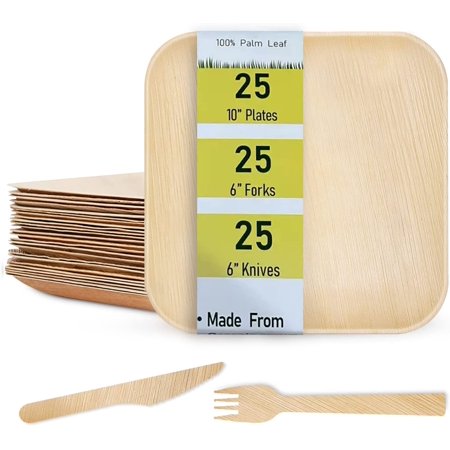Palm Leaf Plates Biodegradable Square 10 Inch 25 Pack with Knives Forks