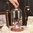 thumbnail image 3 of Heart Glass Dome 8.66 Inch Long Cloche Bell Jar Terrarium with Wood Base Decorative Display Dome Case for Plants Flower Aroma Candle Desktop Decoration Clear for DIY, 3 of 6