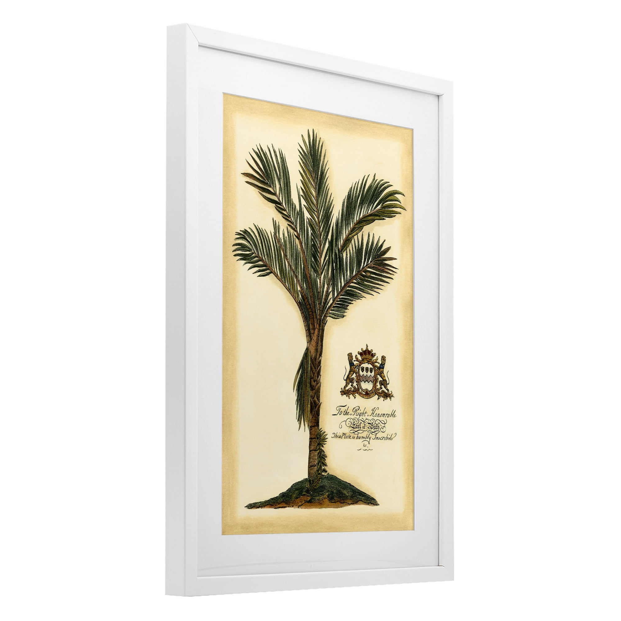 Stupell Industries Vintage Colonial Palm White Framed Print Under Glass, design by Vision Studio
