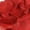 red, variant on 1000 Pack Rose Petals, EEEkit Artificial Fake Rose Petals Decoration, Great for Special Romantic Nights Room Decorations Marry Me Proposal Weddings, Large Size 1.77x1.77inch (Dark Red/ Blue)
