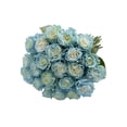thumbnail image 3 of Painted Light Blue Roses - Farm Direct Fresh Cut Flowers - 50 Stems, 3 of 10