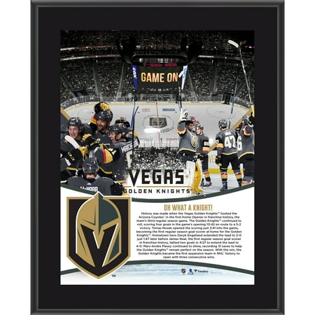 Inaugural Season Collectors - Vegas Golden Knights Fanatics Authentic 10.5