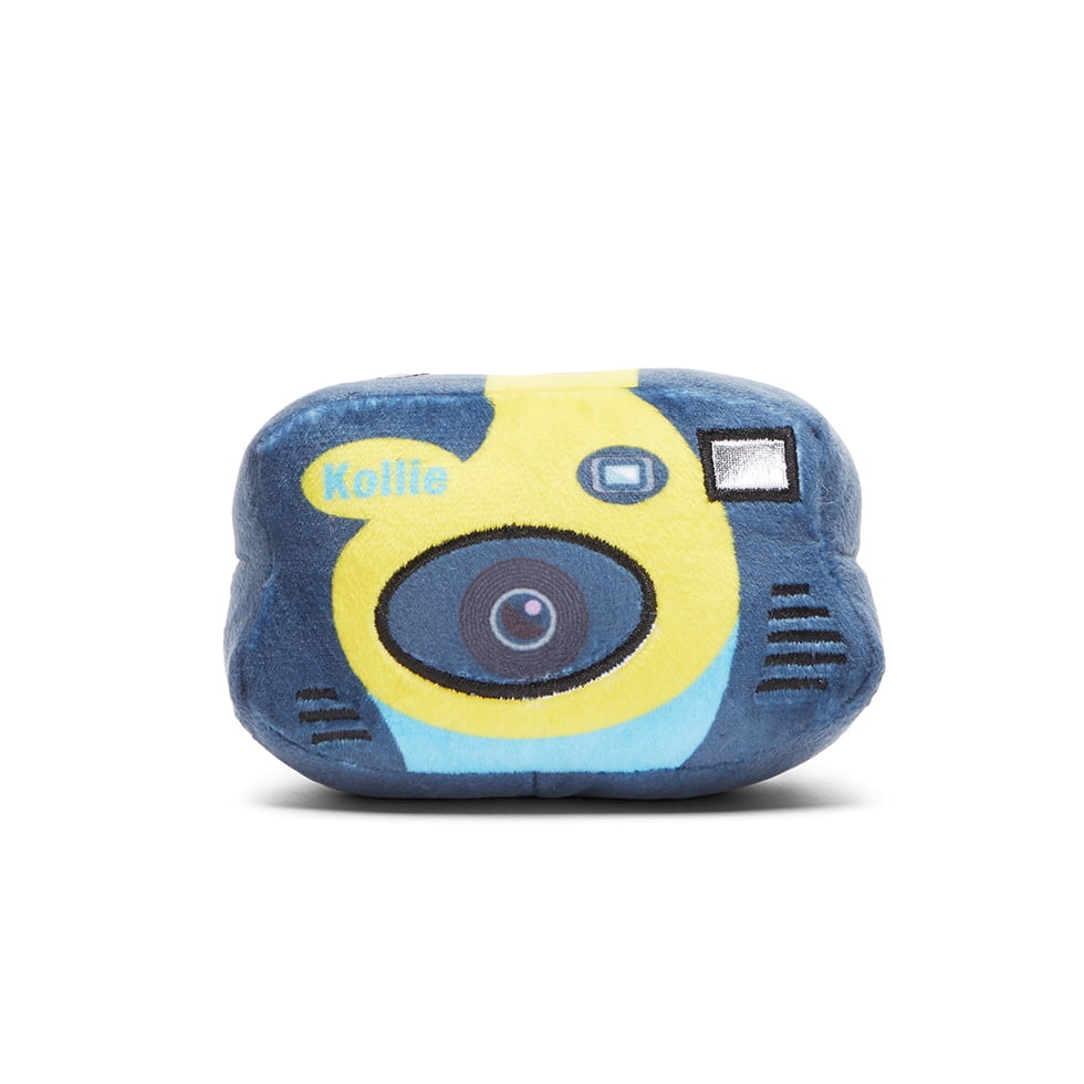 Barkbox camera toy sale