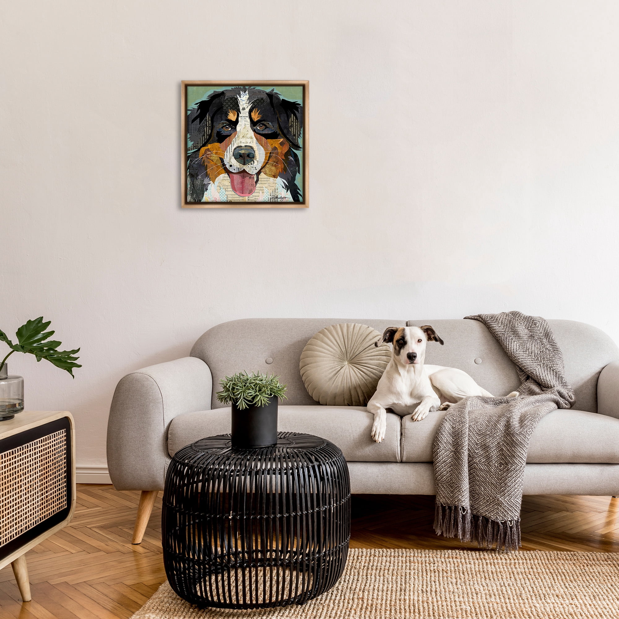 Stupell Industries Bernese Mountain Dog Collage Animals & Insects Painting Brown Floater Framed Canvas Art Print Wall Art, 25 x 25