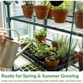 thumbnail image 4 of KOL 4-Tier Mini Greenhouse - PVC Clear Cover & Steel Frame Portable Small Green House for Indoor Outdoor Use Grow Plants, Seedlings, Herbs, 4 of 4