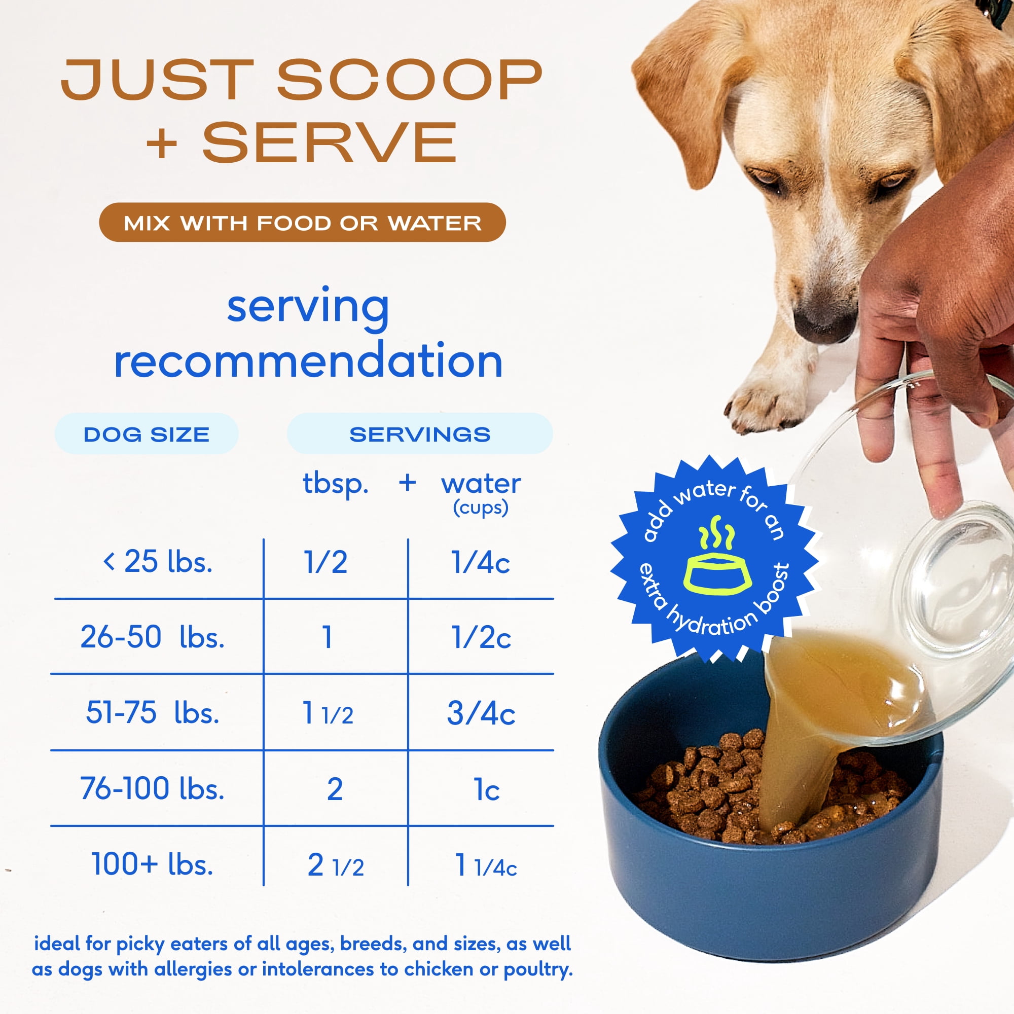 Native Pet Grass Fed Beef Broth, Bone Broth Protein Powder Food Topper for Dogs & Cats, 9.5oz