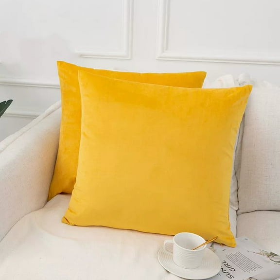 Cterwk 2 Pack Velvet Soft Throw Pillow Covers Solid Color Decorative Square Pillow Case for Couch Sofa Living Room Bedroom, 16x16 inch