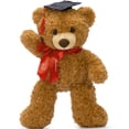 thumbnail image 6 of MaoGoLan 18" 2026 Graduation Teddy Bear Graduation Stuffed Animals Graduation Gift Cute Little Teddy Bear Plush Toys, 6 of 8