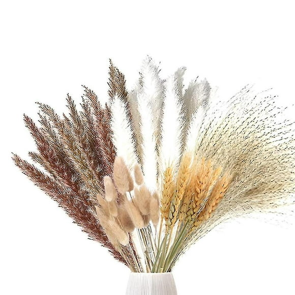 70 Pieces Pampas Grass Dried Pampas Grass Decoration Natural Dried Pampas Grass Dried Flowers Plants Dried Flowers