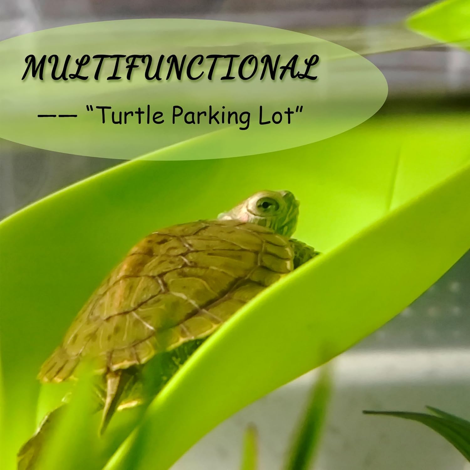 Turtle Basking Platform, Tree Frog Tank Accessories, Leaf Shape Bearded Dragon Basking Platform with Suction Cups, Leopard Gecko Tank Accessories, Turtle Tank Decor (Green)