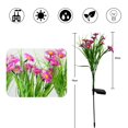 thumbnail image 3 of Lámpara LED de estaca, lámpara enchufable de  con energía Solar, adornos para lámpara de césped, luces pequeñas de crisantemo para pasa blanco Soledad Luz de estaca decorativa, 3 of 10