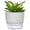 White, variant on Trianu Self Watering Planter for Indoor Plants, 6 inch Clear Plastic Violet Flower Pots, Round Watering Plant Pot for Plants, Orchid, Succulents, Herbs, White