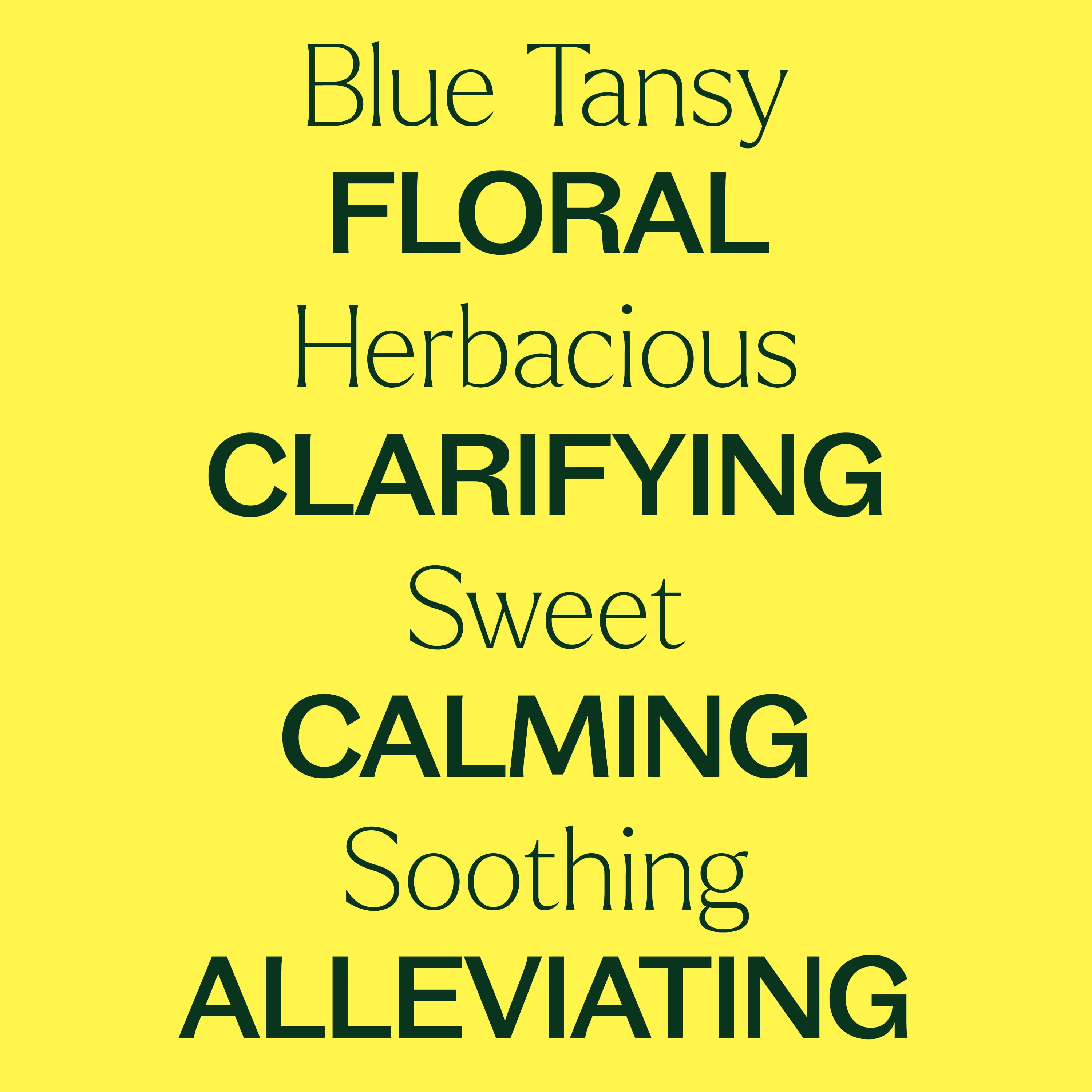 Plant Therapy Blue Tansy Essential Oil 100% Pure, Undiluted, Natural Aromatherapy 10 mL (1/3 oz)