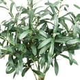 thumbnail image 5 of 5pcs Olive Branches for Vases Artificial Plants Greenery Stems for Vases Olive Leaves Plant, 5 of 7