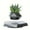 Black Color, variant on Elegant Black Geometric Magnetic Levitating Plant Pot - Rotating Floating Bonsai Planter with Airflow Design, Hexagonal Base for Indoor Air Plants, Includes Stand