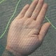 thumbnail image 5 of Red plegable para pesca de gambas, cangrejos y otros mariscos, 5 of 8