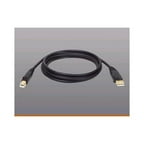 TRIPP LITE 10ft USB 2.0 cable USBa to USBb goldectors-U022010