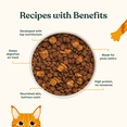 thumbnail image 3 of Made by Nacho Dry Cat Kibble with Freeze Dried Raw Chicken Livers Pieces, Cage-Free Chicken, Duck & Quail Recipe, High Protein and Grain Friendly Premium Cat Food, 3lb Bag, 3 of 8