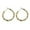 esrring 549, variant on 14K Gold Plated Stud Earrings for Women Women's Light Design Sense Broken Silver Circle Earrings 14K Gold Plated Flat Back Cartilage Earrings for Women Men Warehouse Sale