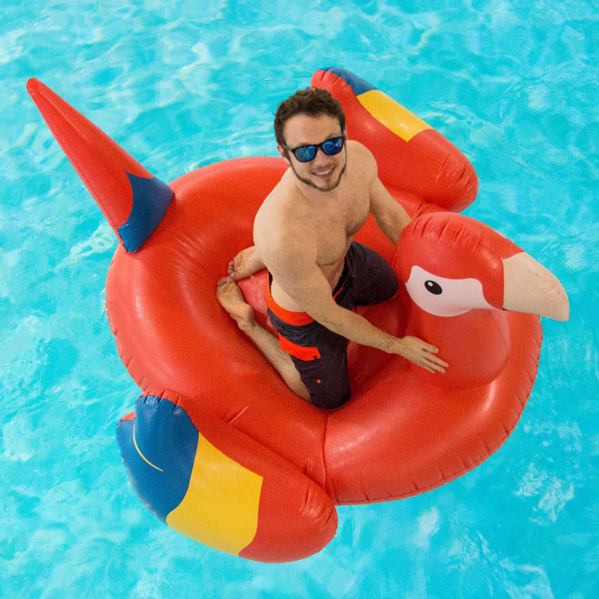 giant parrot pool float