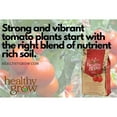 thumbnail image 4 of Organic Healthy Grow Tomato Garden Plant Food Fertilizer 3-3-6, 3 lb Bag, 4 of 6