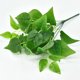 thumbnail image 1 of 5 piezas de tallos de hojas de eucalipto falsos Planta de hojas de eucalipto de dólar de plata artificial a granel en verde gris Verde de boda alto Vegetación artificial, 1 of 4