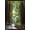 Black Framed Version, variant on Lantern Press - Muir Woods National Monument, California, Pathway Wall Poster, 22.375" x 34" Framed