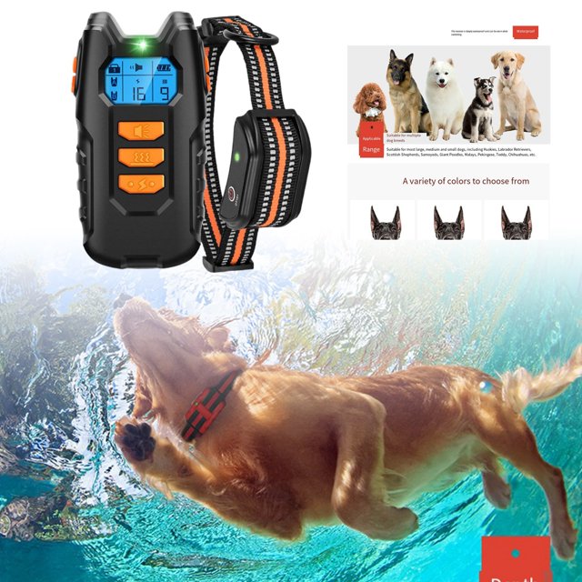 Colliers pour Chiens et Chats Collier d'Entraînement Sans Fil pour l'Amélioration Comportementale Plastique pour Activités Extérieures et Entraînement pour Animaux Adapté à Diverses Races et Utilisation Extérieure