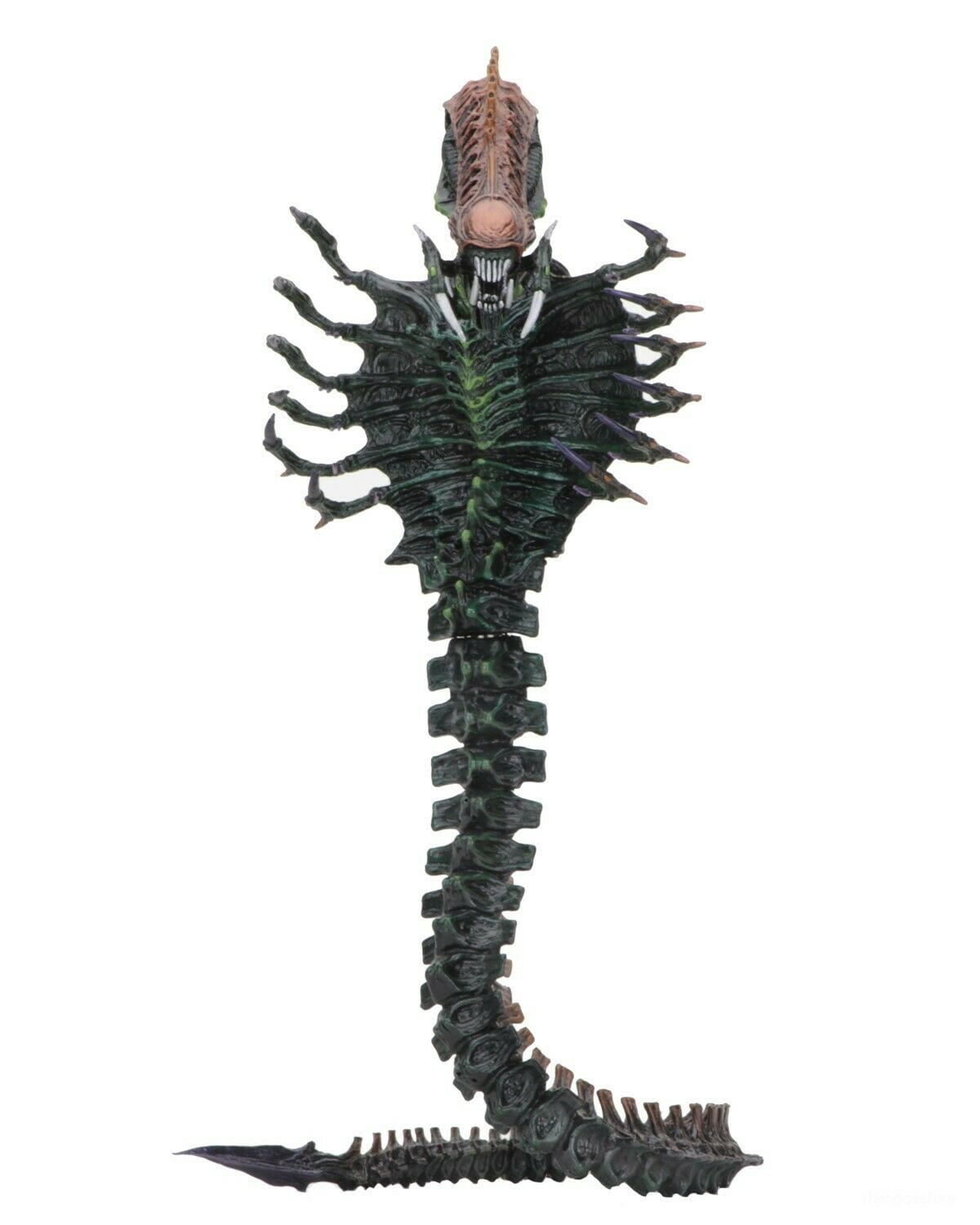 Neca スネークエイリアン Aliens - 7