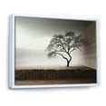 thumbnail image 2 of Designart "Minimalist Photography Of A Serene Tree" Tree Floater Framed Wall Decor, 2 of 5