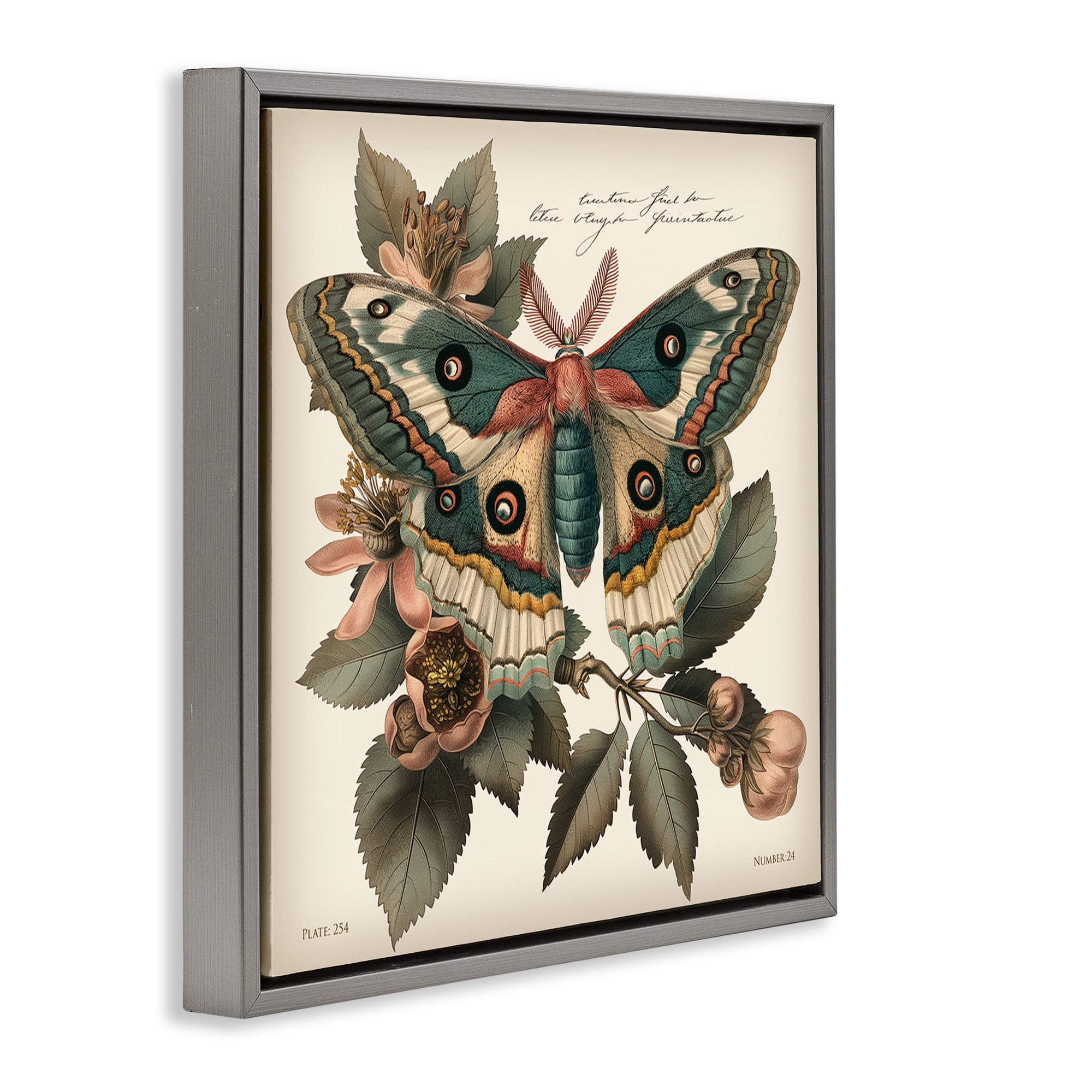 Stupell Industries Green Patterned Moth Animals Painting Gray Floater Framed Canvas Art Print Wall Art, 25 x 25