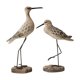 thumbnail image 3 of 2 Figuras de Animales Marinos, Escultura Rústica de Aves Marinas, Adornos de Mesa Realistas Marrón, 3 of 9