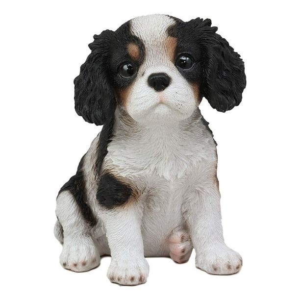 [+] 4 Months Old Premium English Toy Spaniels Dog Puppy For Sale Or
Adoption Near Me