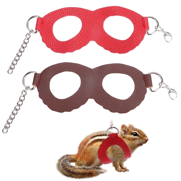 Juego de 2 chalecos y correas para pasear al aire libre para mascotas pequeñas con decoración para gatitos.